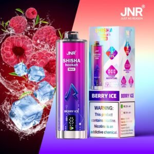 JNR SHISHA MAX 22000 Puffs – Vape Jetable, Lot de 10 – Image 2