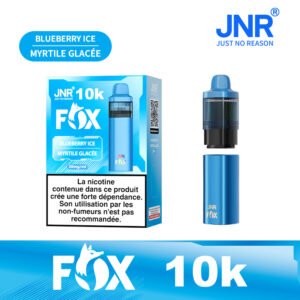 JNR FOX 10 000 bouffées – Kit Pod rechargeable authentique ,Lot de 10 – Image 1