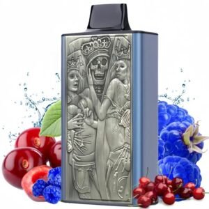 JNR Mega Box 25000 bouffées Jetable,Lot de 10 – Image 1