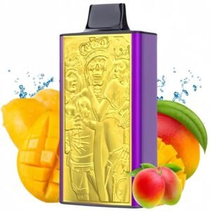 JNR Mega Box 25000 bouffées Jetable,Lot de 10 – Image 4