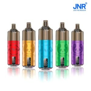 JNR Panda 25500 Bouffées Vape Rechargeable,Lot de 10 – Image 1