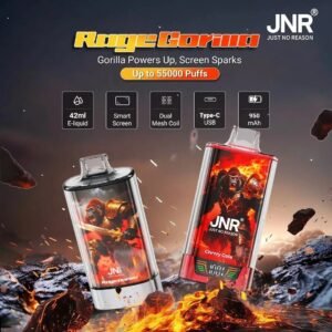 JNR Rage Grilla 55 000 bouffées – Vape jetable,Lot de 10 – Image 4